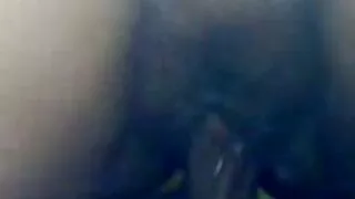 স্যাভরি হুকার অ্যালি ...