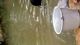 লিজা হার্পার যৌন ক্ষ ...