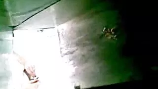 লম্বা কেশিক শ্যামাঙ্ ...