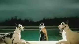 আশ্চর্যজনক হটি ক্লিও ...