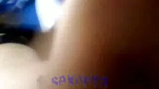 কিঙ্কি স্বর্ণকেশী কু ...