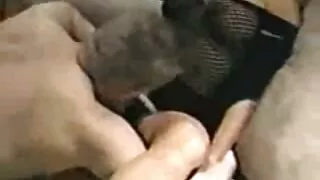বহিরাগত থাই বাংলা দে ...