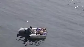 বিপরীতমুখী স্বর্ণকেশ ...